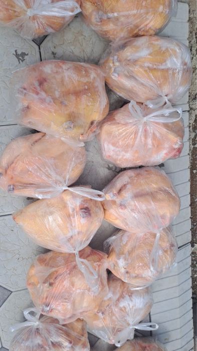 Тушки Курей свежие