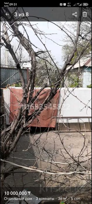 Дача, Кайнар Булак