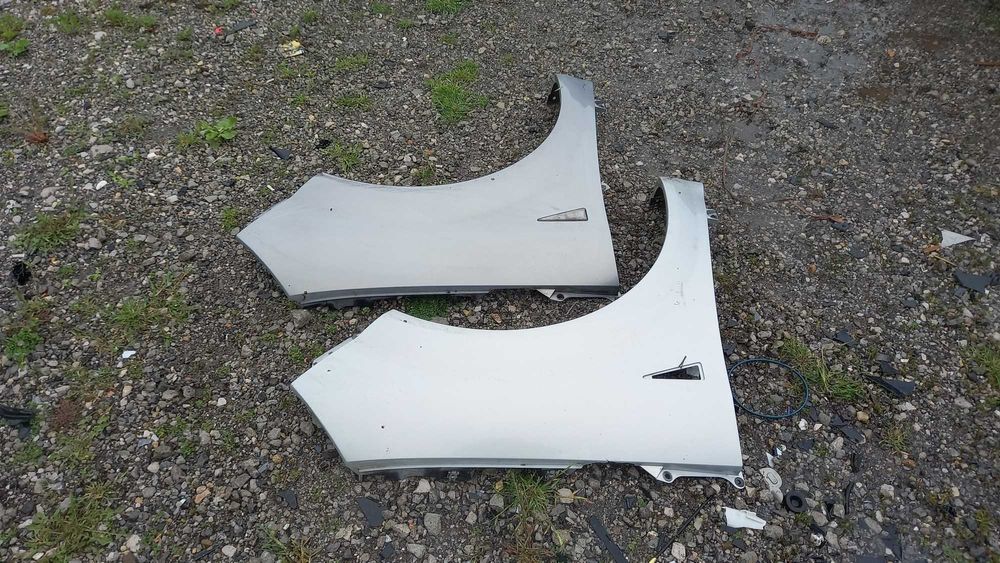 Десен Калник Рено Сценик 2