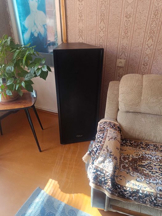 Акустическая система