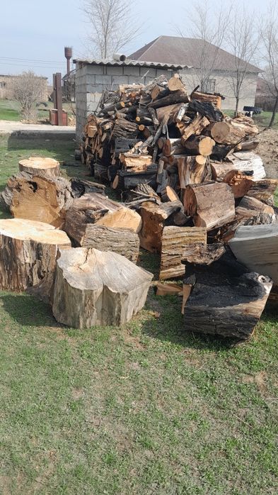 Отындар жиналып дайын тұр