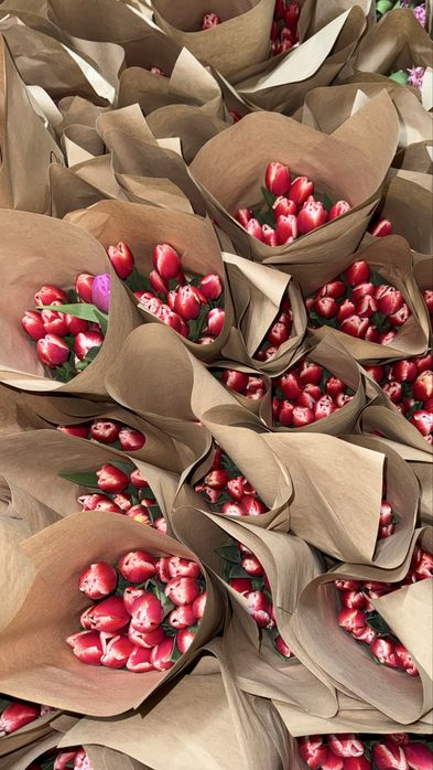 тюлпаны оптом от 370 тг