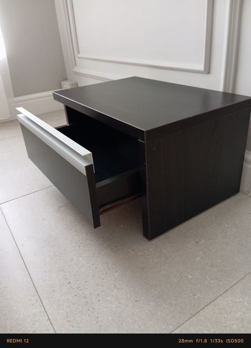 Noptieră mica venghe