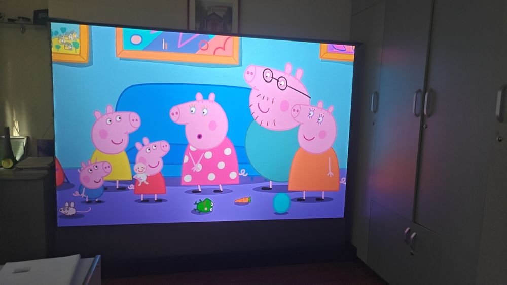 ALR PVC screen спец. экран для проекторов