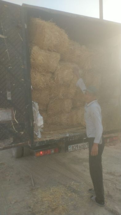 Сабан пресс  Сабан Салома Бидай сабан