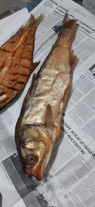 Капченный балыктар