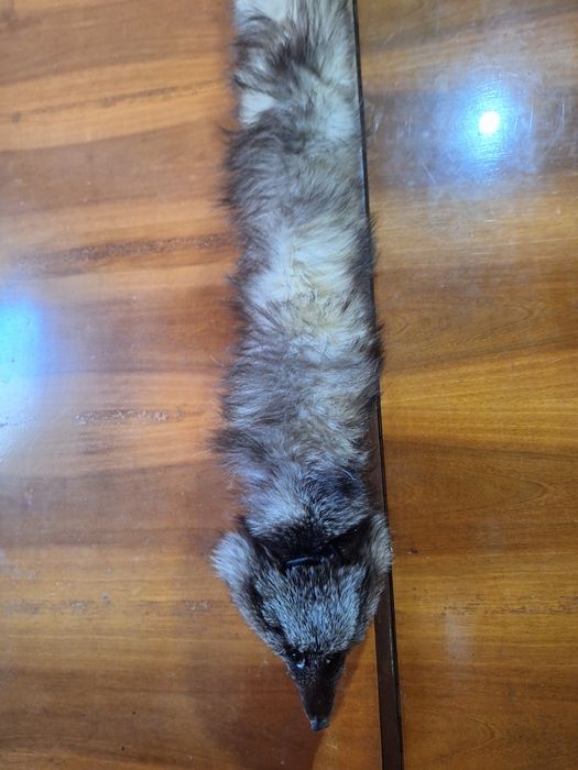 Старинни неща от  време оно