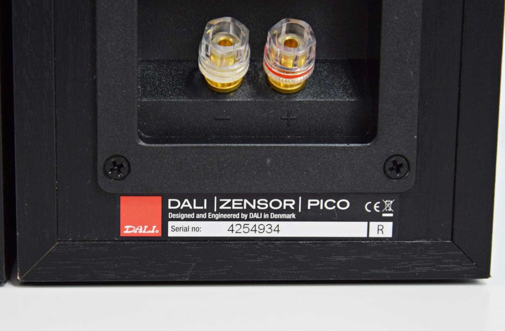 Boxe Dali Zensor Pico, boxe de raft