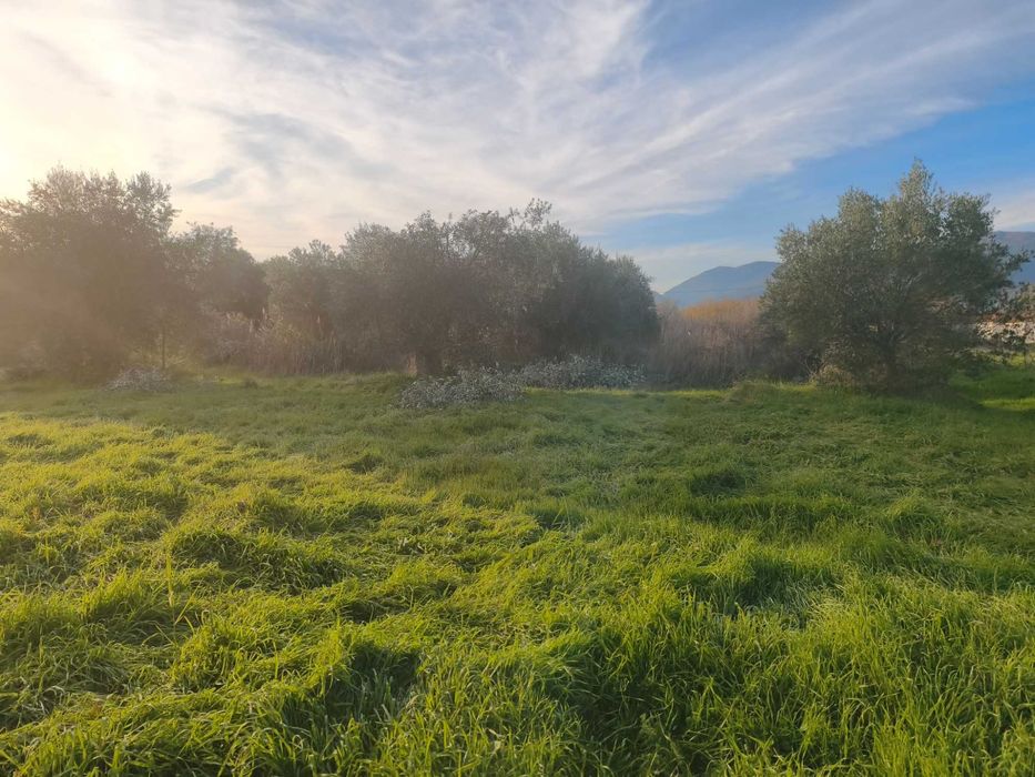 Продава се бизнес парцел 907 м2 близо до морето в Неа Врасна, Гърция