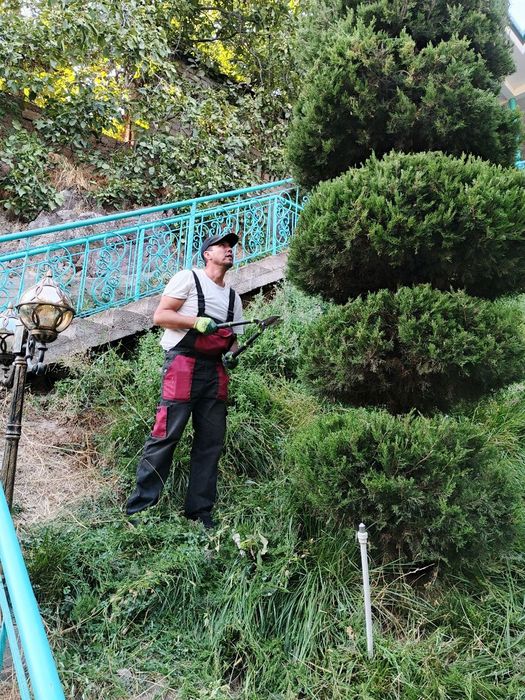 Услуга садовника