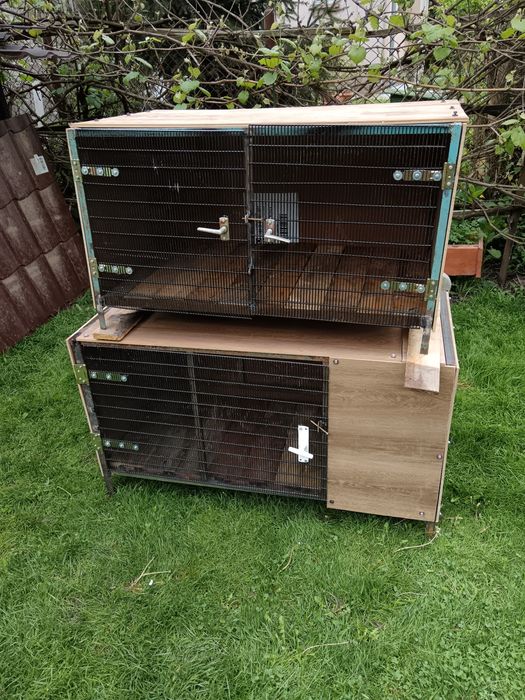 Cuști pentru iepuri