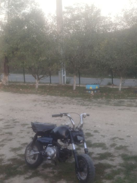 Vand Skyteam monkey 125cc