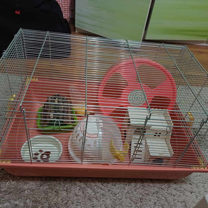 Cusca hamster si accesorii