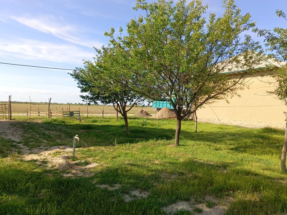 16 сотихли уй сотилади