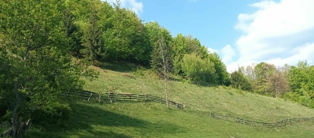 Căbănuta,teren și padure