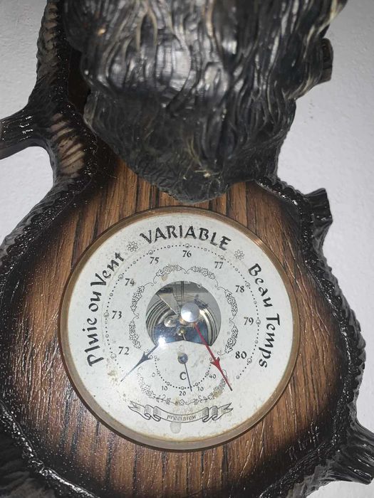 Barunetru cu tenta Tap de munte decor cabana