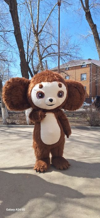 Чебурашка, мишка, панда, заяц белый, заяц серый. Аниматоры. Куклы.