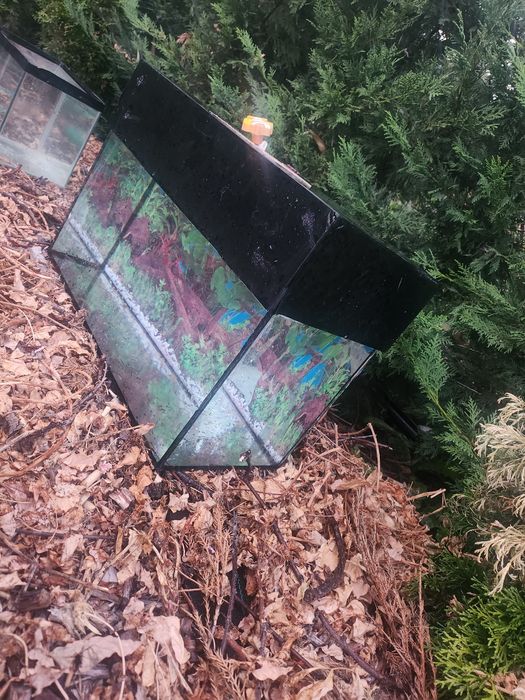 Vand Acvariu stare buna cu capac cu următoarea dimensiune 46X24X21