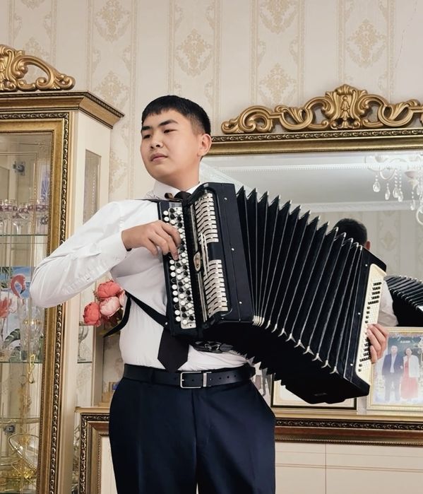 Баянист,музыкант,певец.
