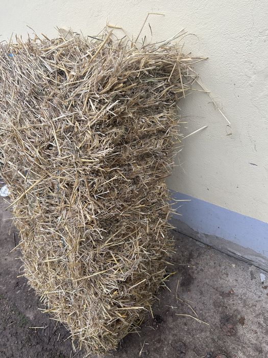 Baloți de paie pentru pârlit porcu