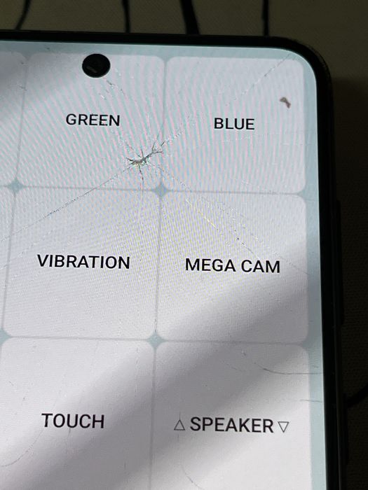 Samsung S21 FE 8/256