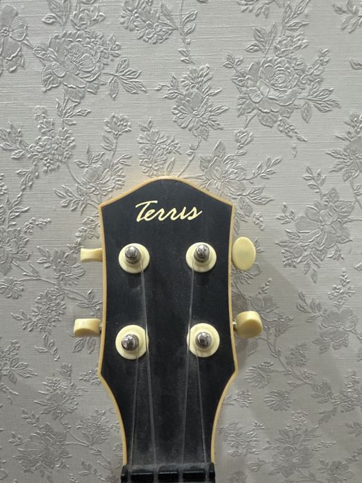 Укулеле Terris.