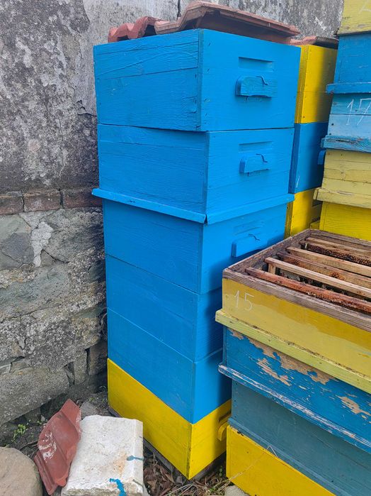 Продавам 13 празни кошери Даданблат