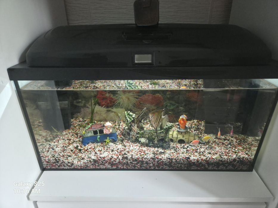 Vand acvariu 60 l.