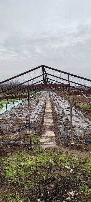 Vand echipamente agricultura : teasc struguri  , solare , cub plastic