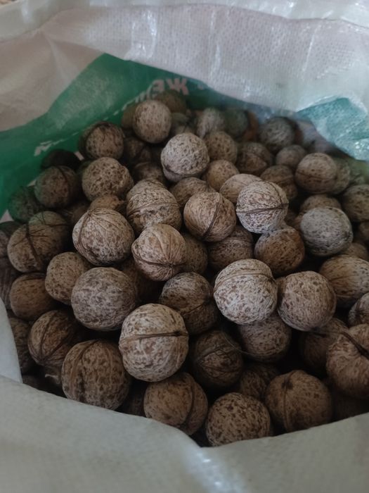 Грецкие домашние орехи