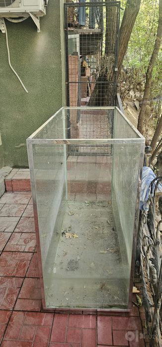Аквариум.       .