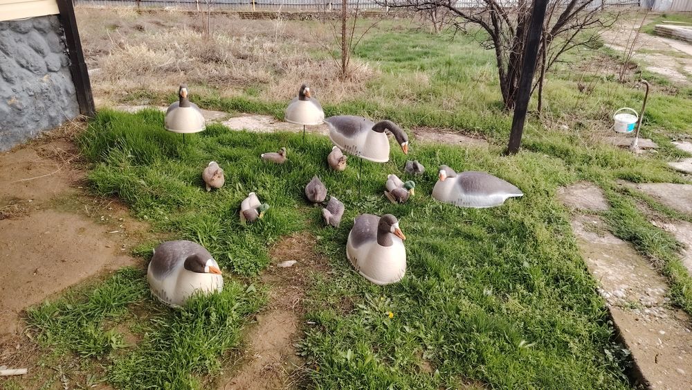 приманки для охоты Гуси 6 шт  утки 8 шт