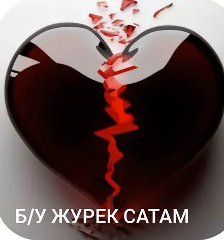 Салам б у журек тегінде берем