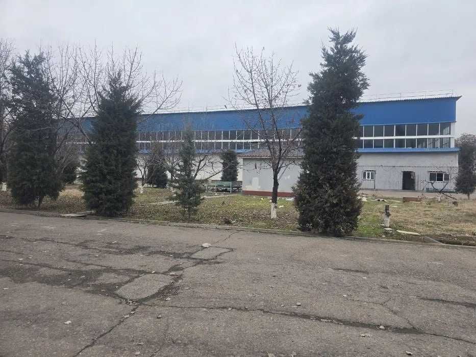 Сдается помещение под  склад производство, в центре, Мирабадский район