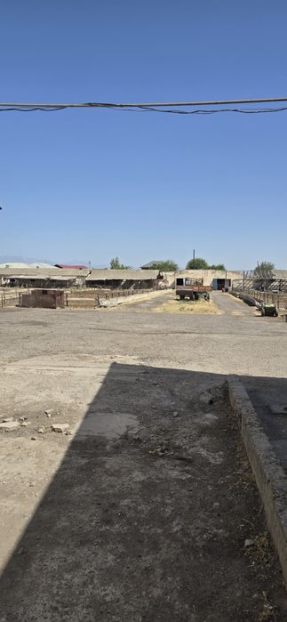 Кибрай 4.гек,биноси билан