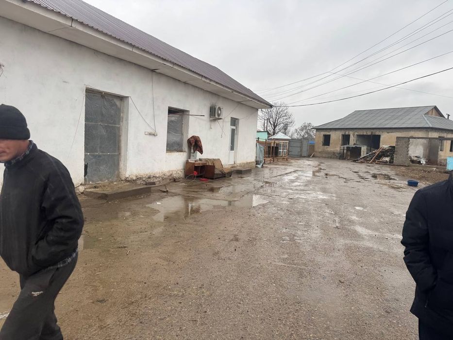 Ferma 1 gektar chinoz tumani