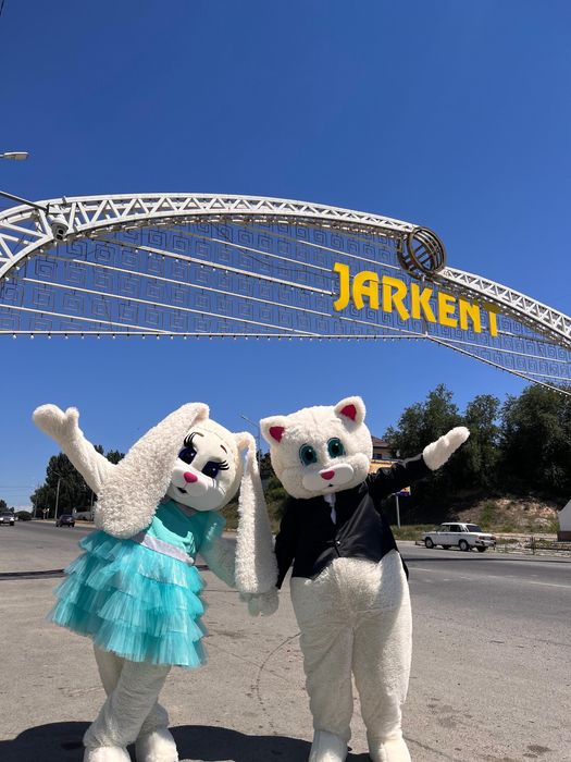 Аниматор кастюмм