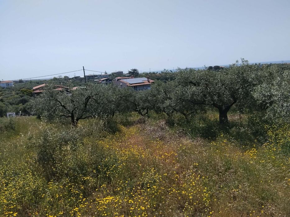 Продава се парцел в район Макри, Александруполис