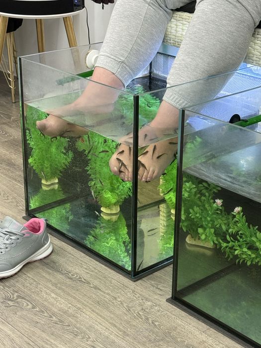 Terapie de relaxare Fish Spa