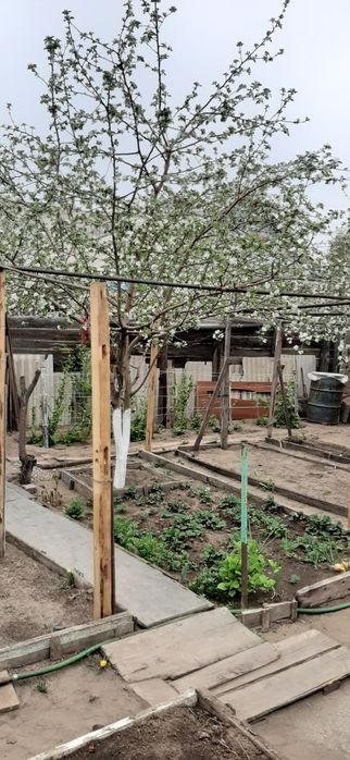 Продам дом частный