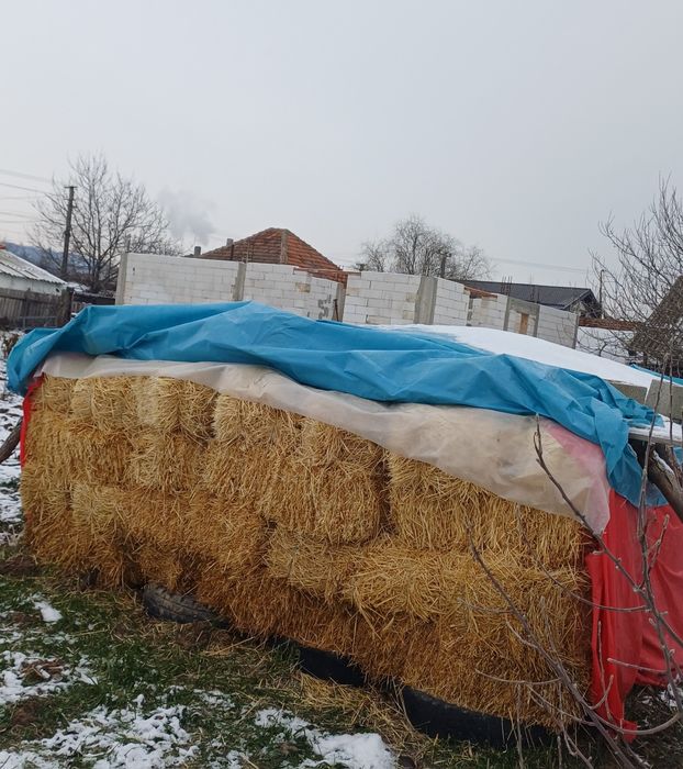 Baloți paie orz 10 lei negociabil