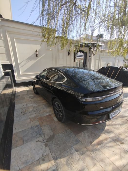 BYD chazor champion DM-I 55 KM L