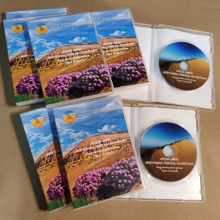 Запись CD/DVD, печать на CD/DVD дисках