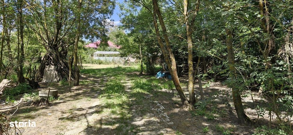 Casa si teren 3000 mp Naipu Giurgiu