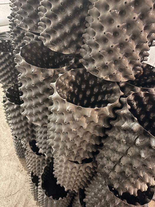 Саксии с Дупки-ТОП