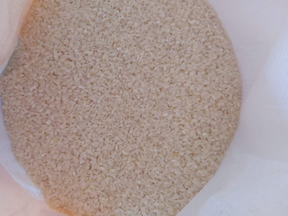 Күрiш сатылады 5000тг  25кг