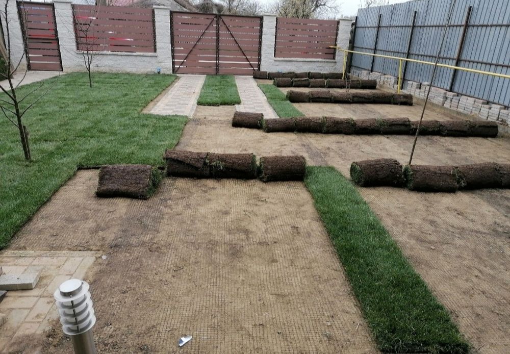 Gazon rulou 24 de lei m2 transport, montaj inclus, sisteme de irigare