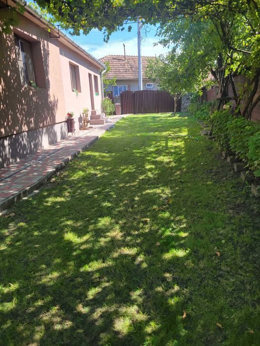 Casa in Ojdula cu gradina si curte