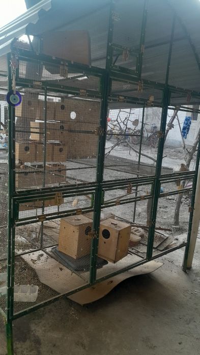 Срочно сотилади катаг