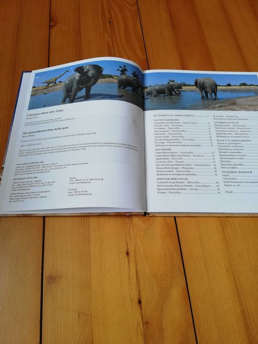 Книги за деца и тинейджъри